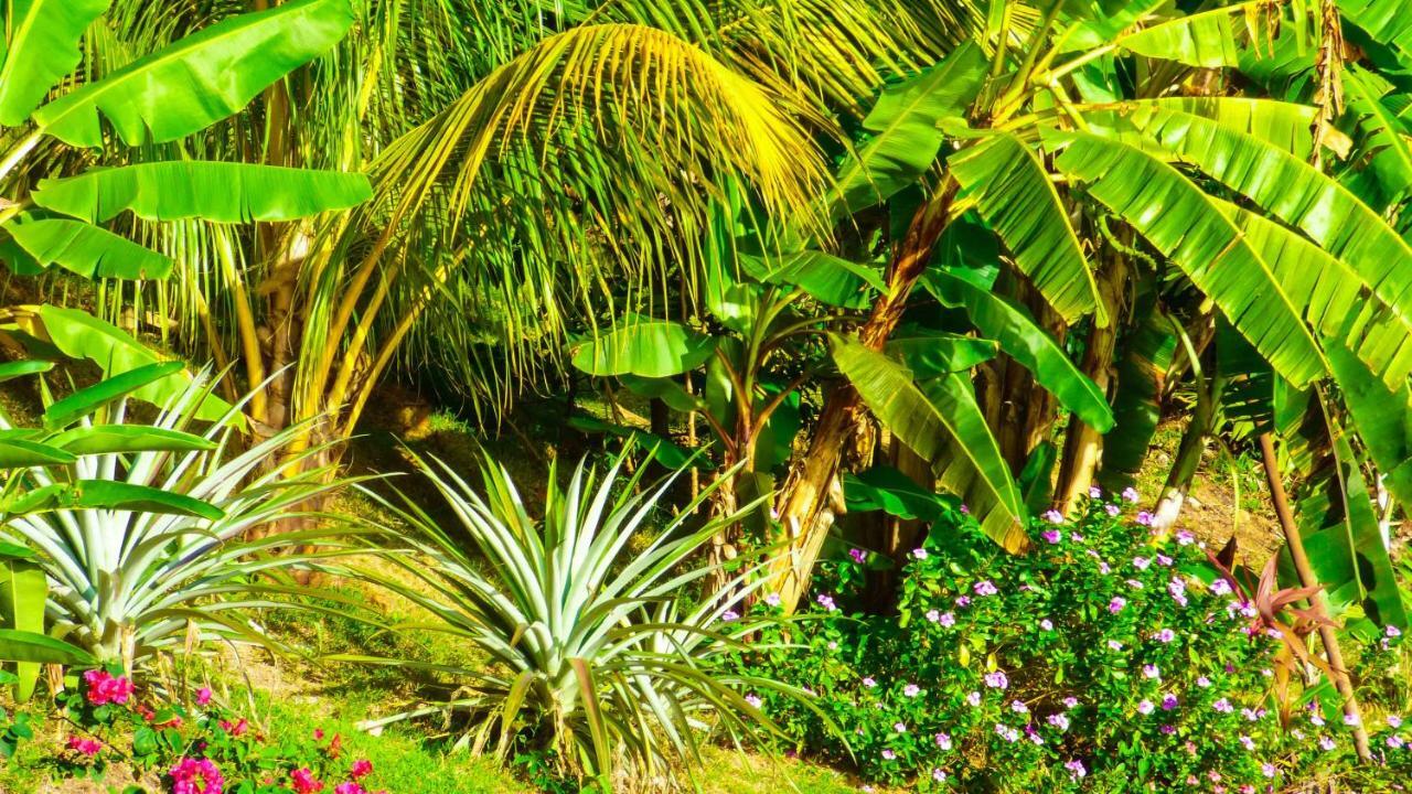 Mouggae Blues Villas Beau Vallon  Buitenkant foto